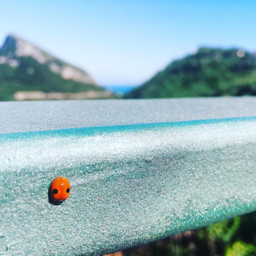 La Roccia Incantata Amalfi Coast Vietri Dış mekan fotoğraf